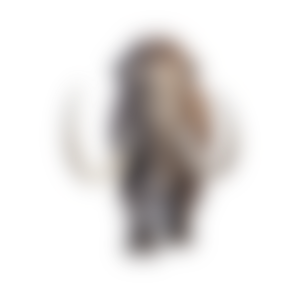 Image finale